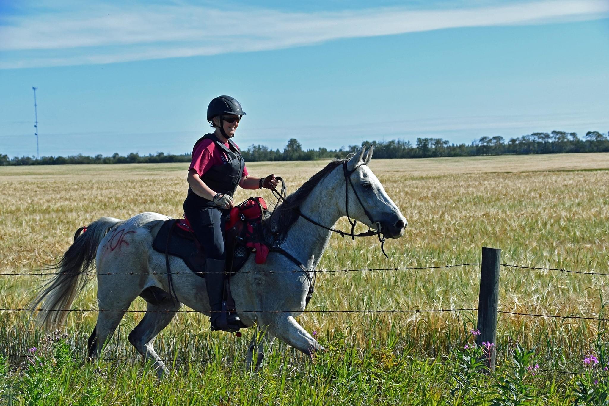 Endurance riding and competitive trail riding how do they compare?